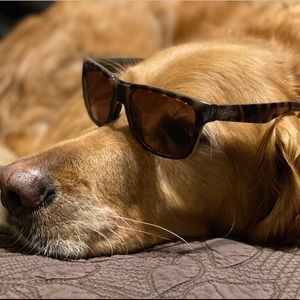 Smith Lowdown Slim Tortoise Polarized Sunglasses